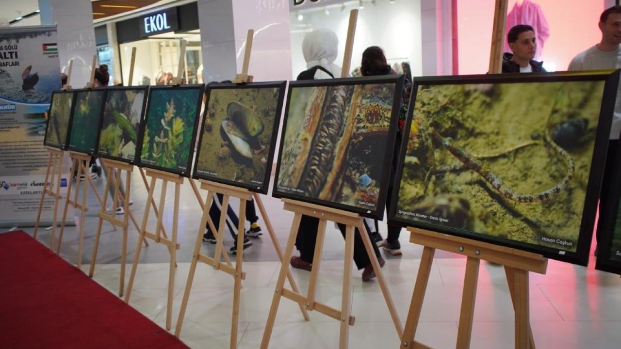 Foto - Sapanca Gölü fotoğrafları Gazze için umuda dönüştü