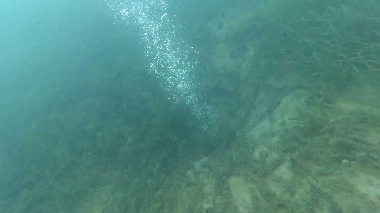 Foto - Sapanca Gölü'nde neler oluyor? Göl okur fokur kaynamaya başladı, deprem uyarısı az önce geldi