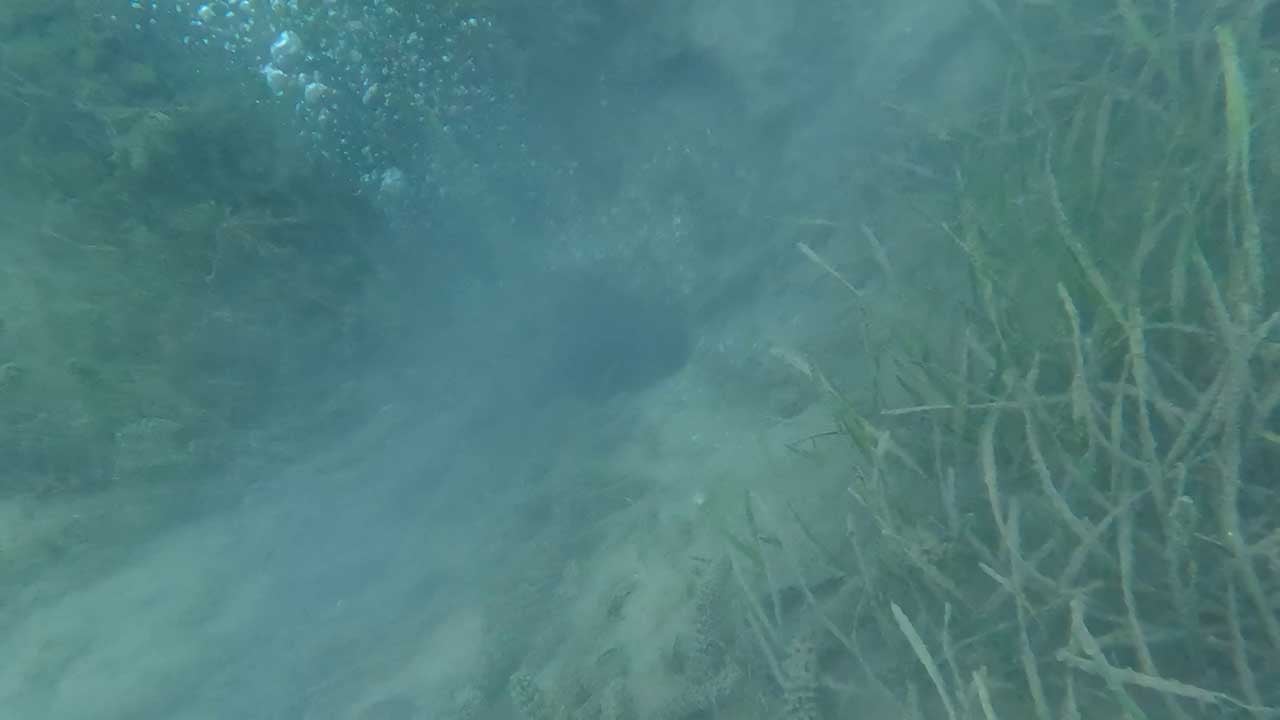 Foto - Sapanca Gölü'nde neler oluyor? Göl okur fokur kaynamaya başladı, deprem uyarısı az önce geldi