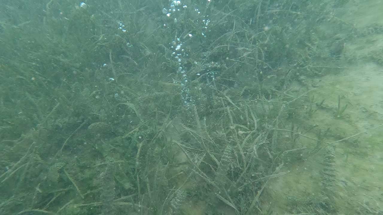 Foto - Sapanca Gölü'nde neler oluyor? Göl okur fokur kaynamaya başladı, deprem uyarısı az önce geldi