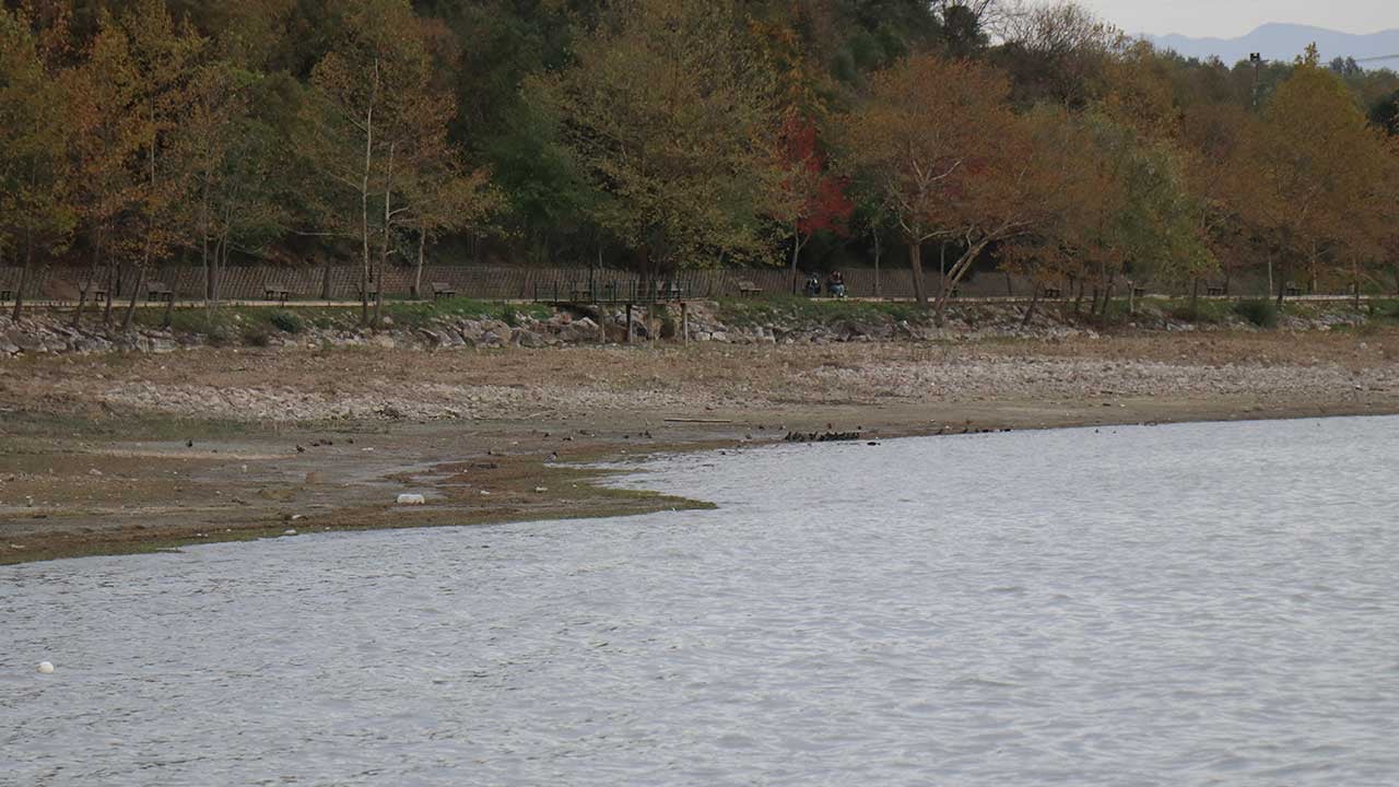 Foto - Sapanca Gölü'nde neler oluyor? Göl okur fokur kaynamaya başladı, deprem uyarısı az önce geldi