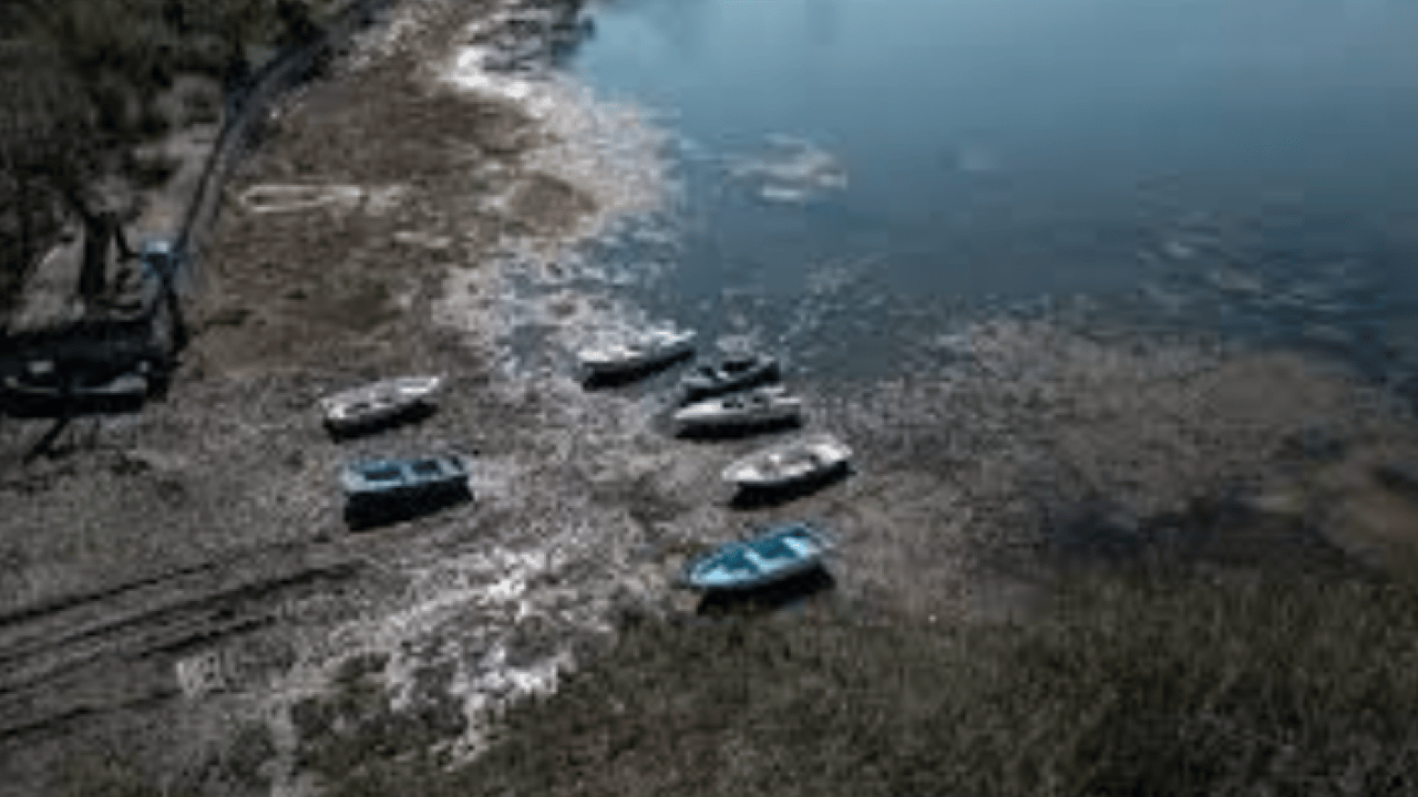 Foto - Sapanca Gölü’ne can suyu: Yağışlar seviyeyi 8 santimetre yükseltti