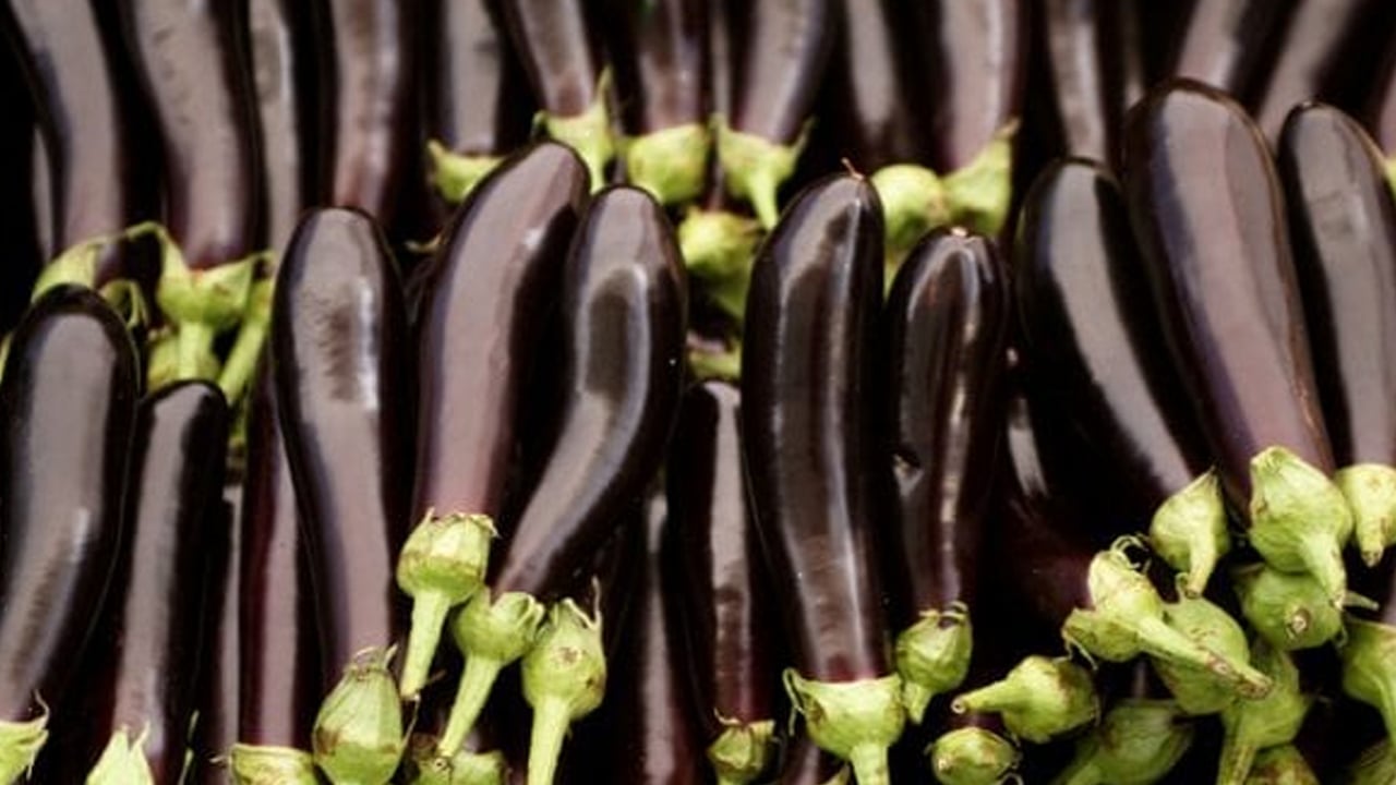 Foto - Saplarını çöp diye sakın atmayın! Basura kesin çözüm oluyor, 5 gün içinde hemoroidi bitiriyor! Suyu metabolizmayı hızlandırıyor