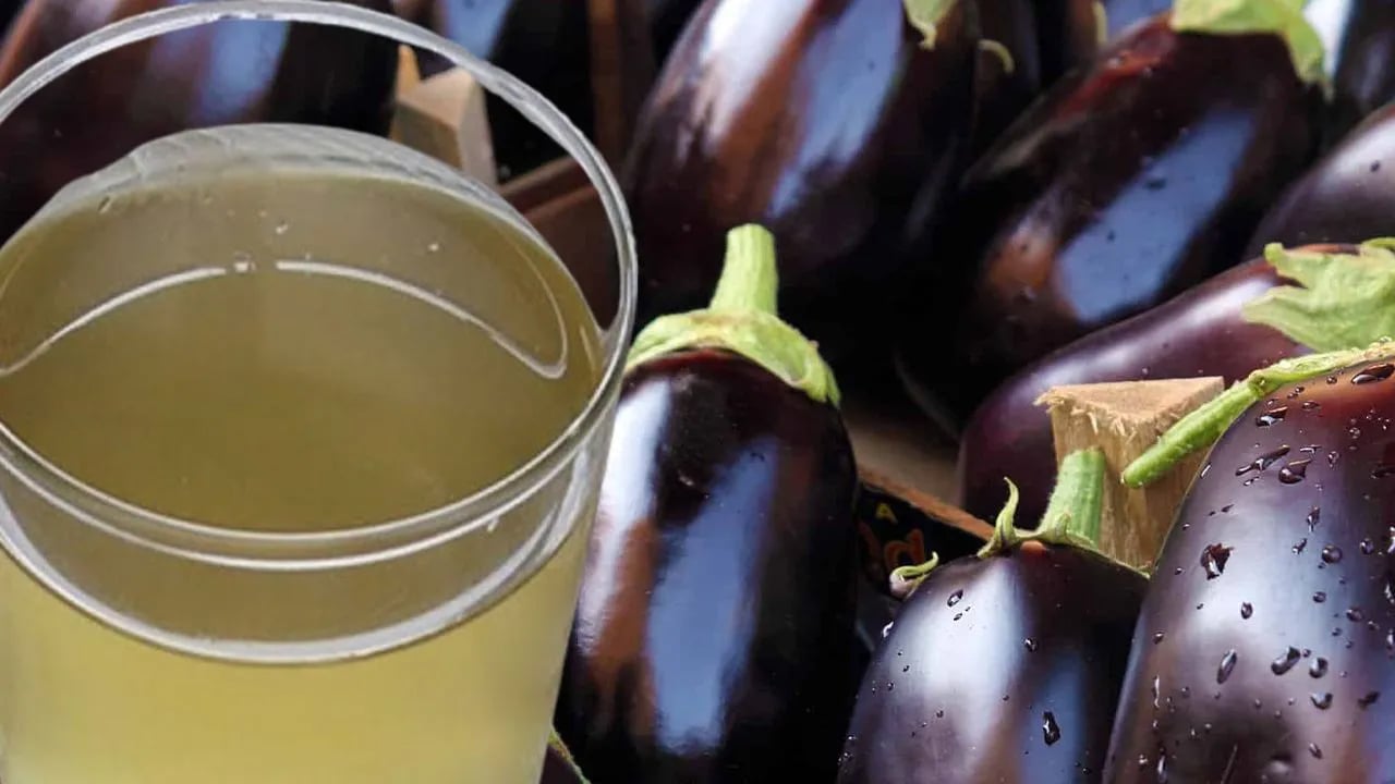 Foto - Saplarını çöp diye sakın atmayın! Basura kesin çözüm oluyor, 5 gün içinde hemoroidi bitiriyor! Suyu metabolizmayı hızlandırıyor