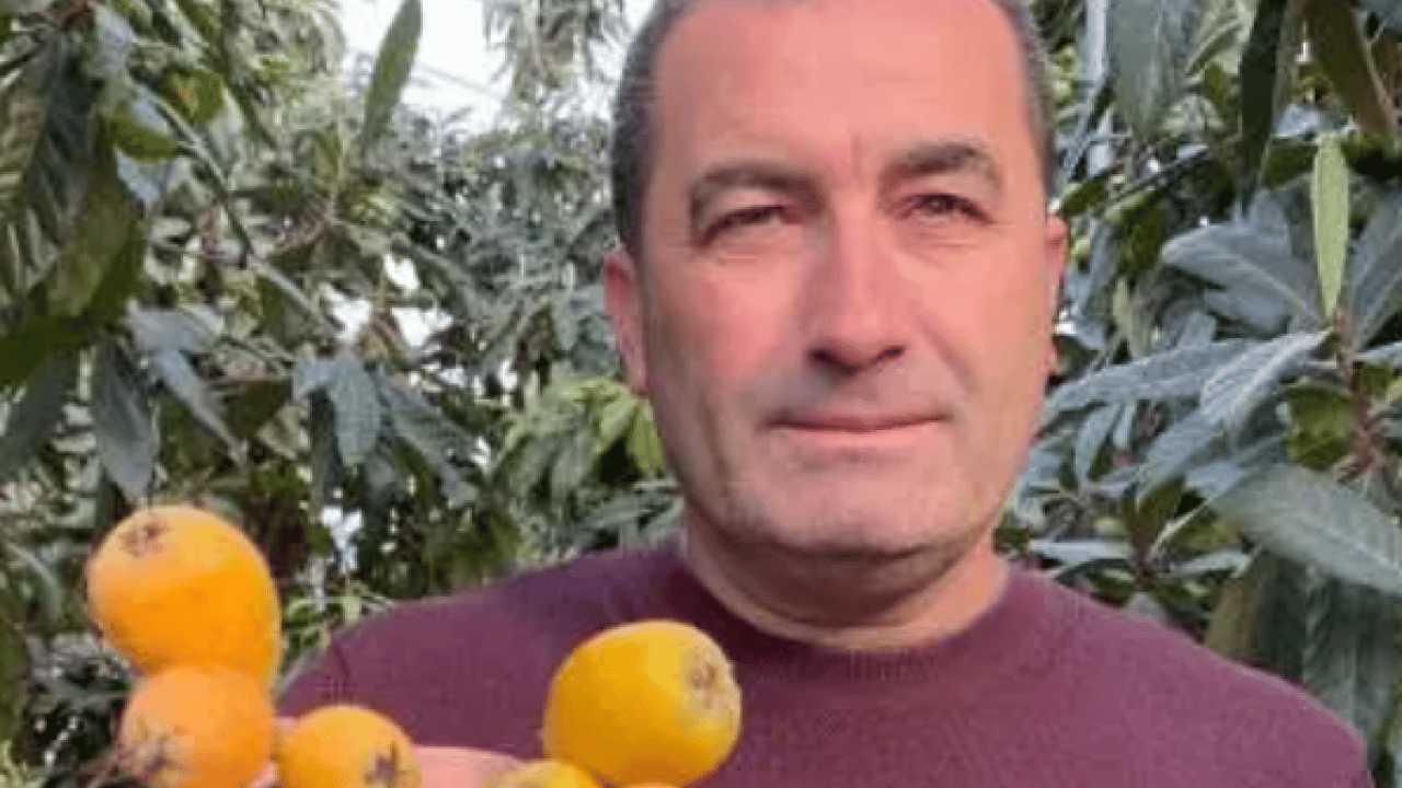 Foto - Sarı altının hasadı başladı! Dubai'ye gitmek için gün sayıyor!