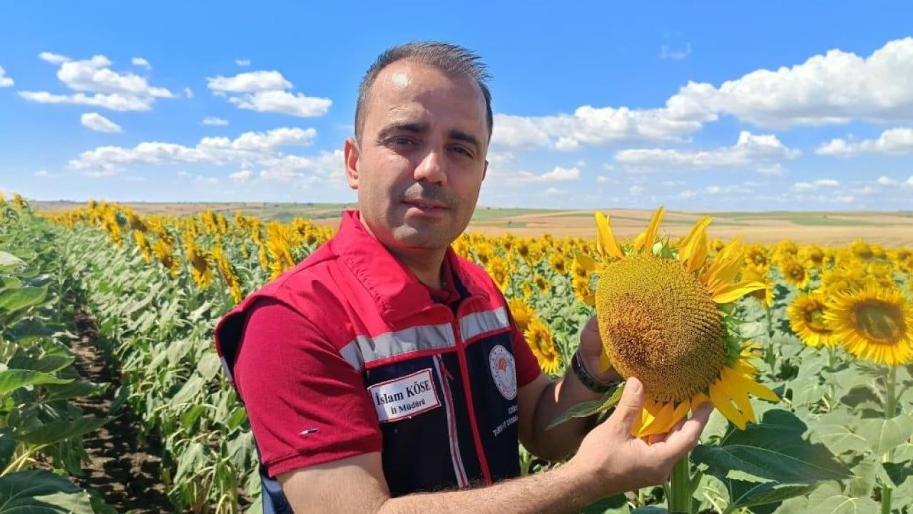 Foto - Sarı gelinde beklenti büyük