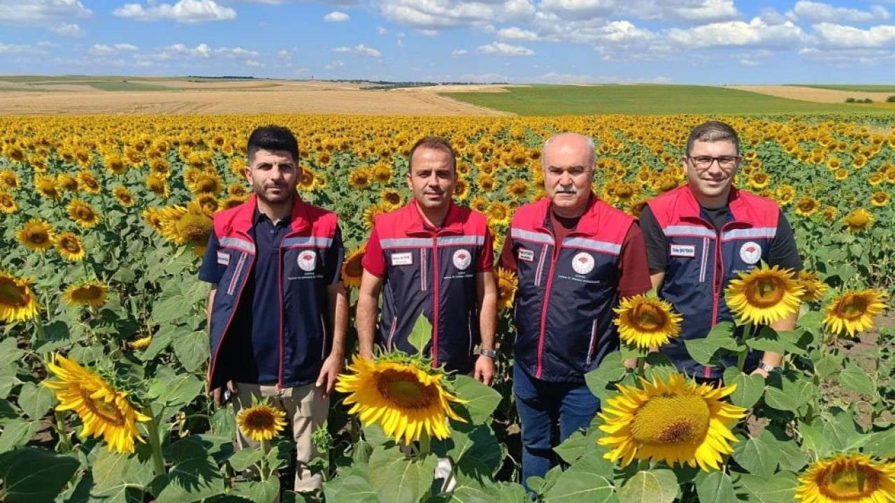 Foto - Sarı gelinde beklenti büyük