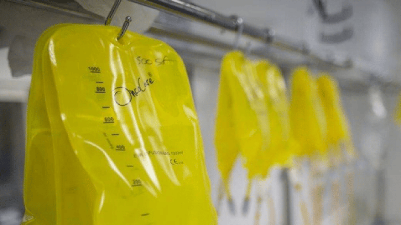 Son zamanlarda moda oldu: Sarı tehlike can alıyor!