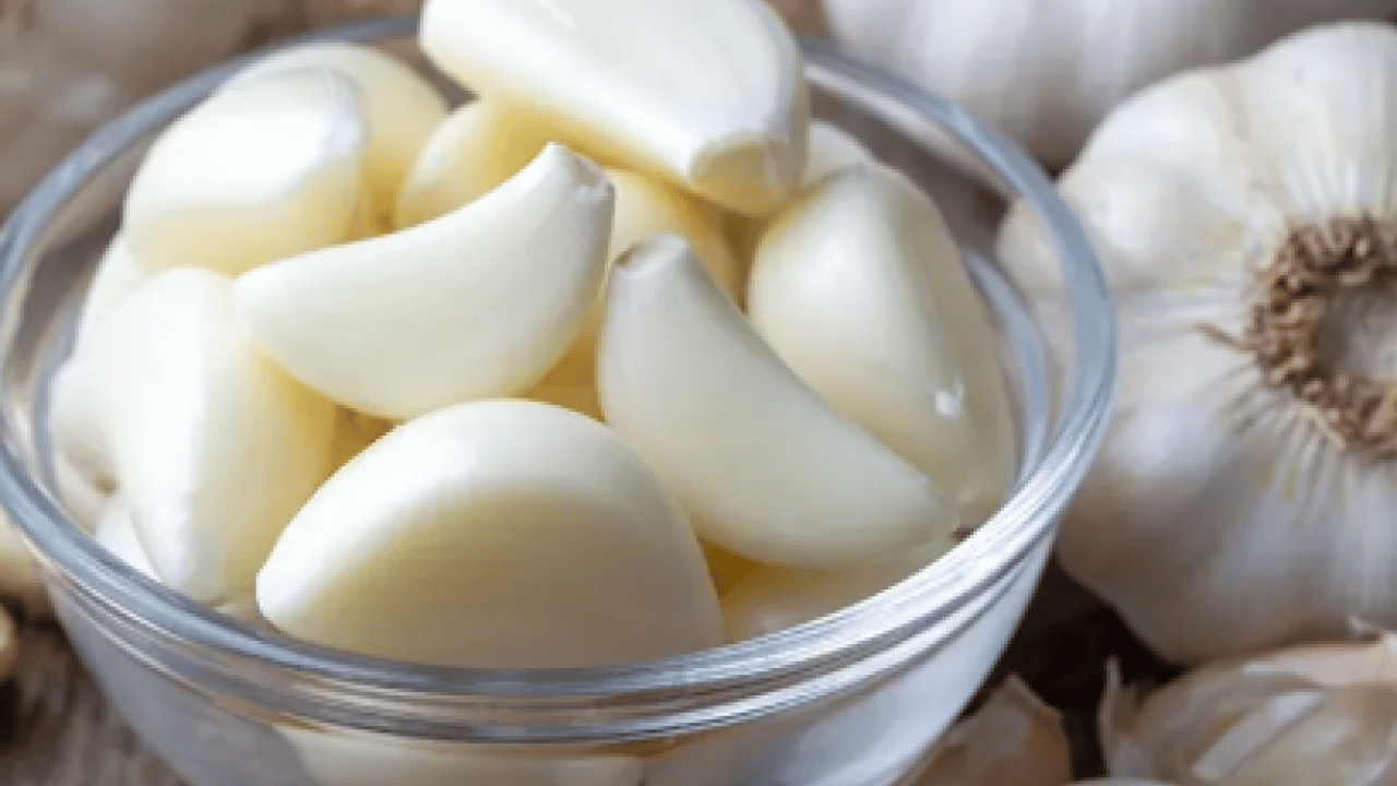 Sarımsak üretiminde çalışacak işçilerin yevmiyeleri açıklandı