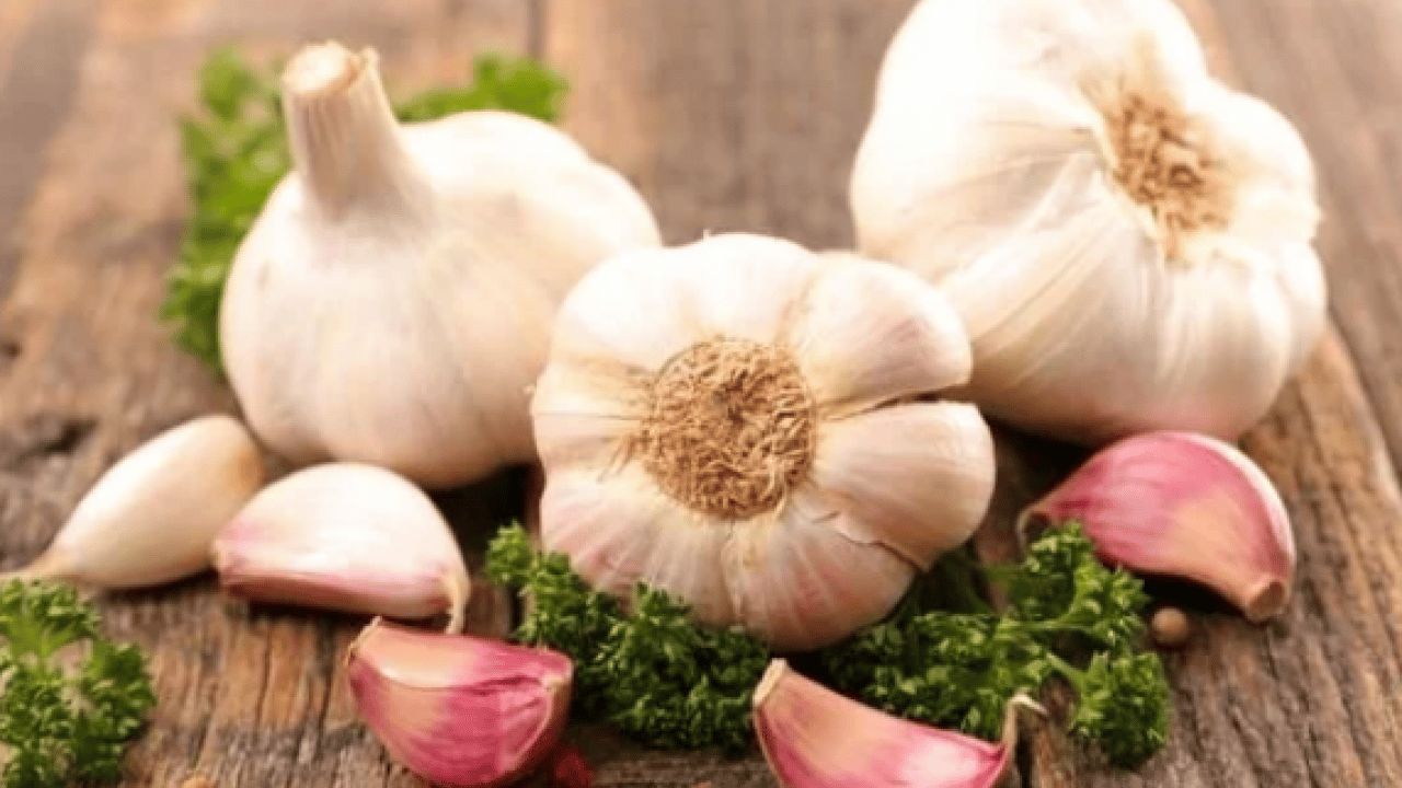 Foto - Sarımsakları çürütmeden aylarca saklamanın 5 yolu: Deneyen memnun kalıyor! İçi hemen boşalıyorsa çözümü kolay