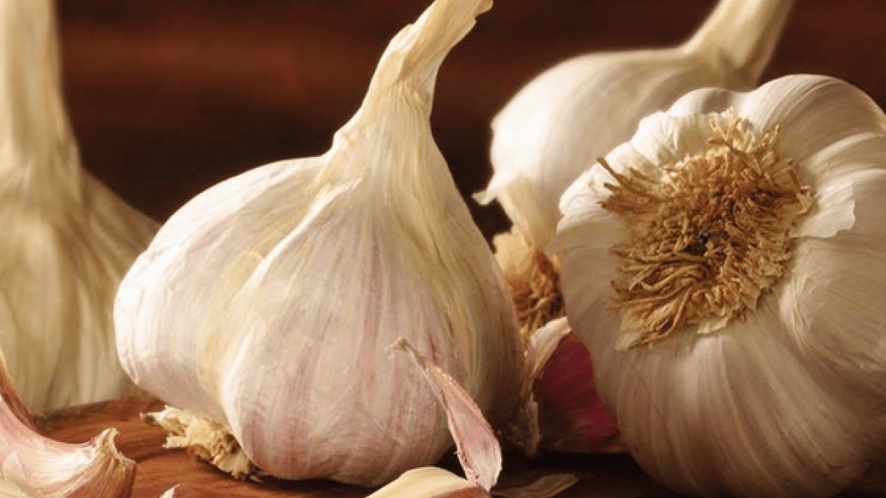 Foto - Sarımsakları çürütmeden aylarca saklamanın 5 yolu: Deneyen memnun kalıyor! İçi hemen boşalıyorsa çözümü kolay