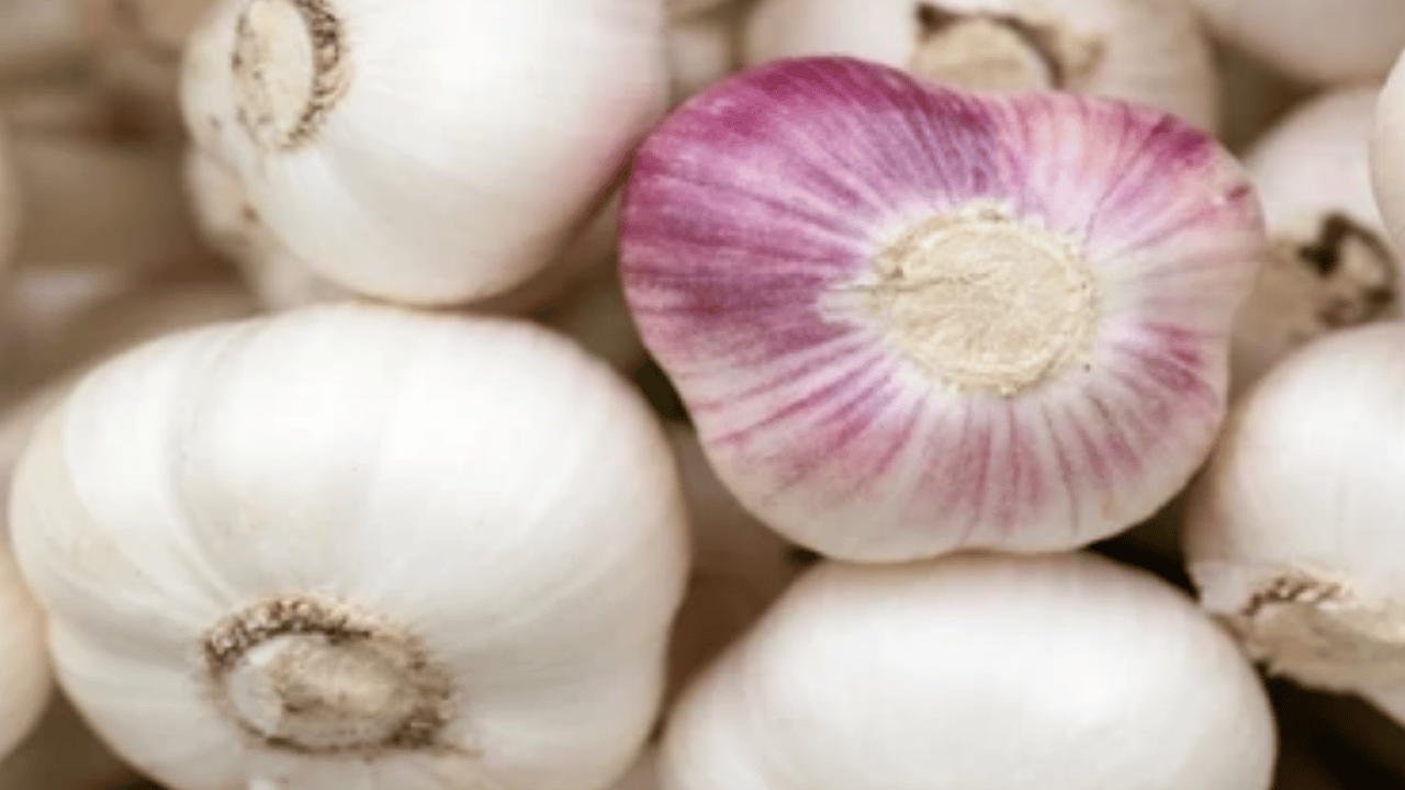 Foto - Sarımsakları çürütmeden aylarca saklamanın 5 yolu: Deneyen memnun kalıyor! İçi hemen boşalıyorsa çözümü kolay