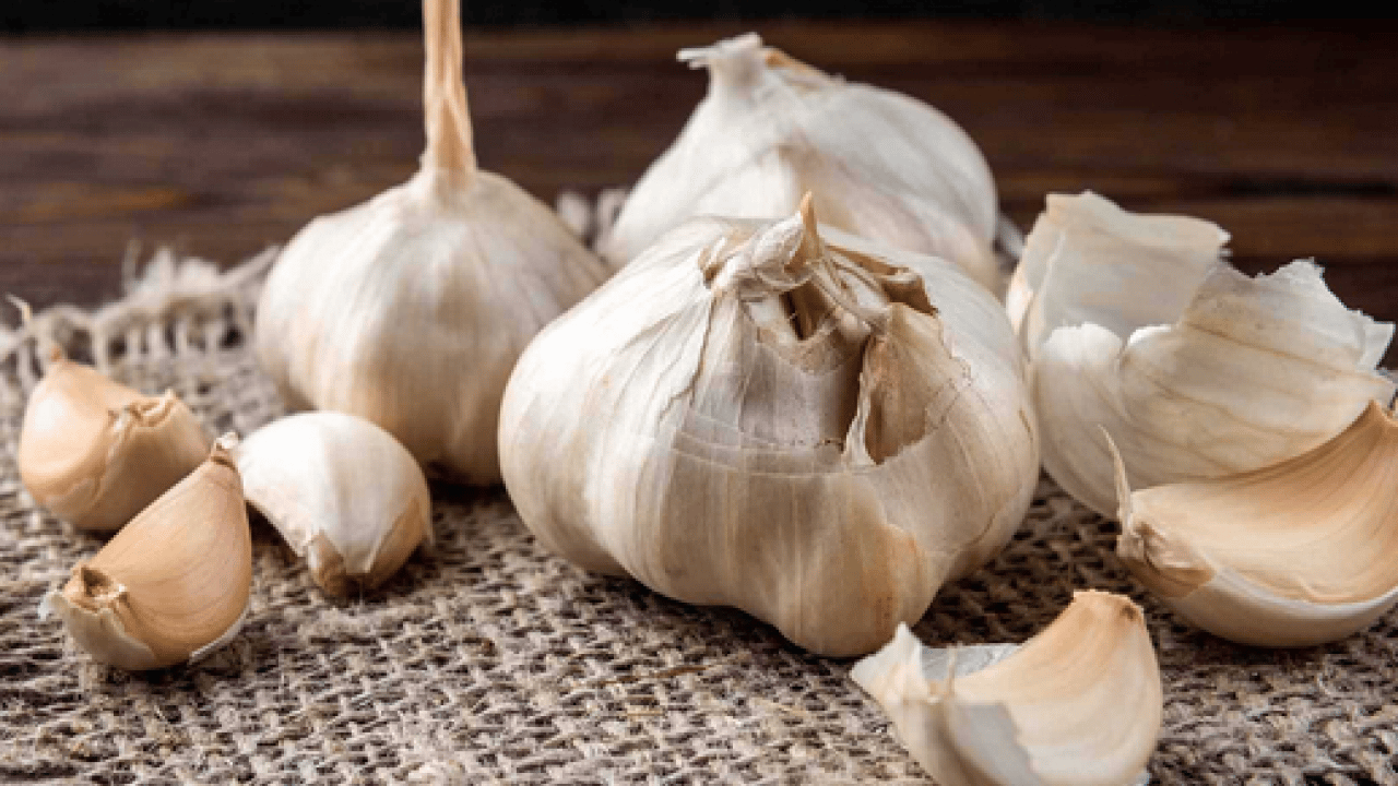 Foto - Sarımsakları çürütmeden aylarca saklamanın 5 yolu: Deneyen memnun kalıyor! İçi hemen boşalıyorsa çözümü kolay