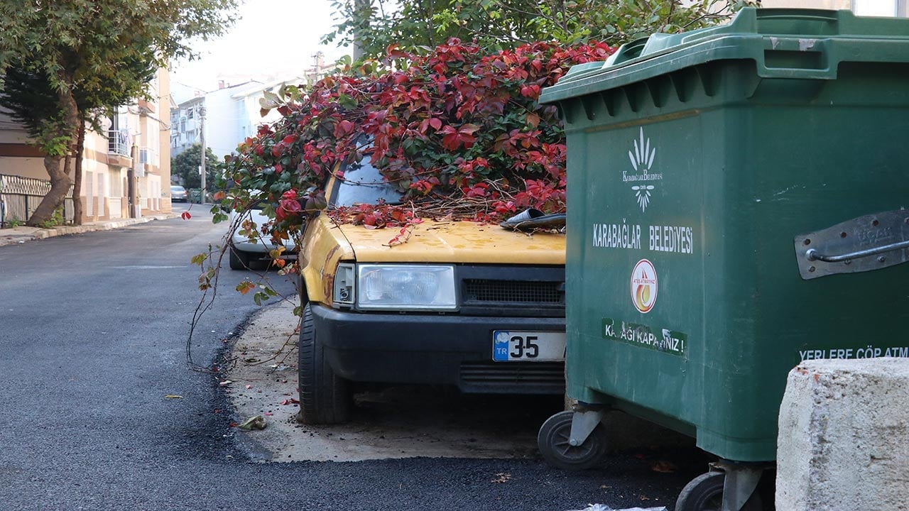 Foto - Sarmaşıklar otomobili tamamen yuttu! İzmir’de 8 yıldır park halindeki aracı görenler şaştı kaldı