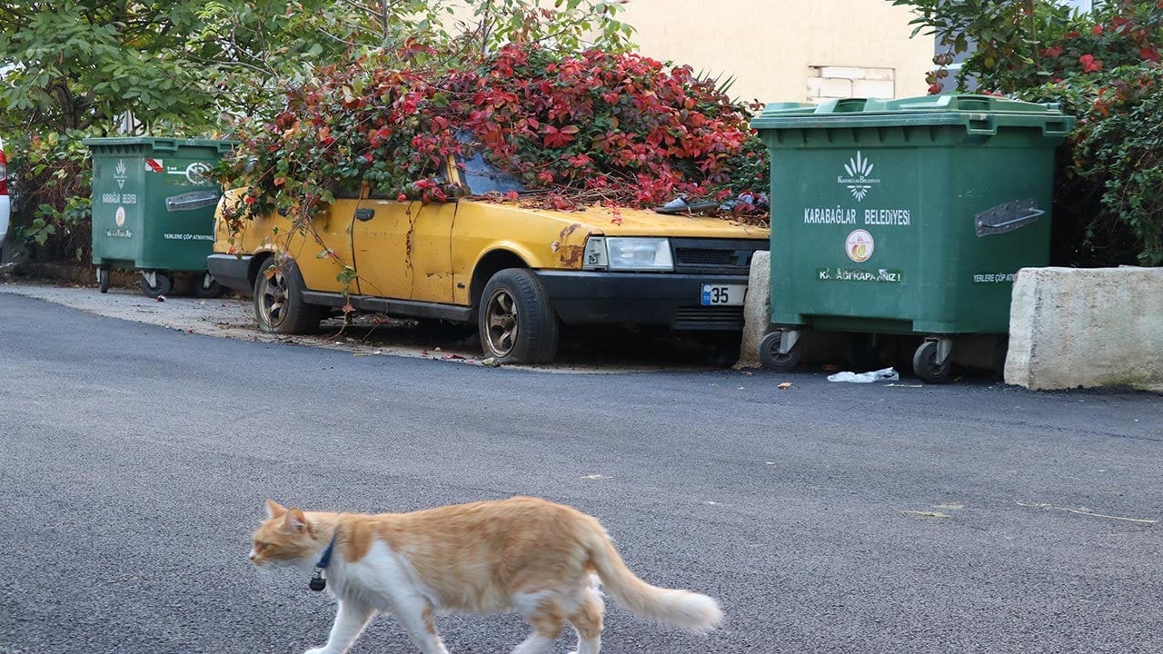 Foto - Sarmaşıklar otomobili tamamen yuttu! İzmir’de 8 yıldır park halindeki aracı görenler şaştı kaldı