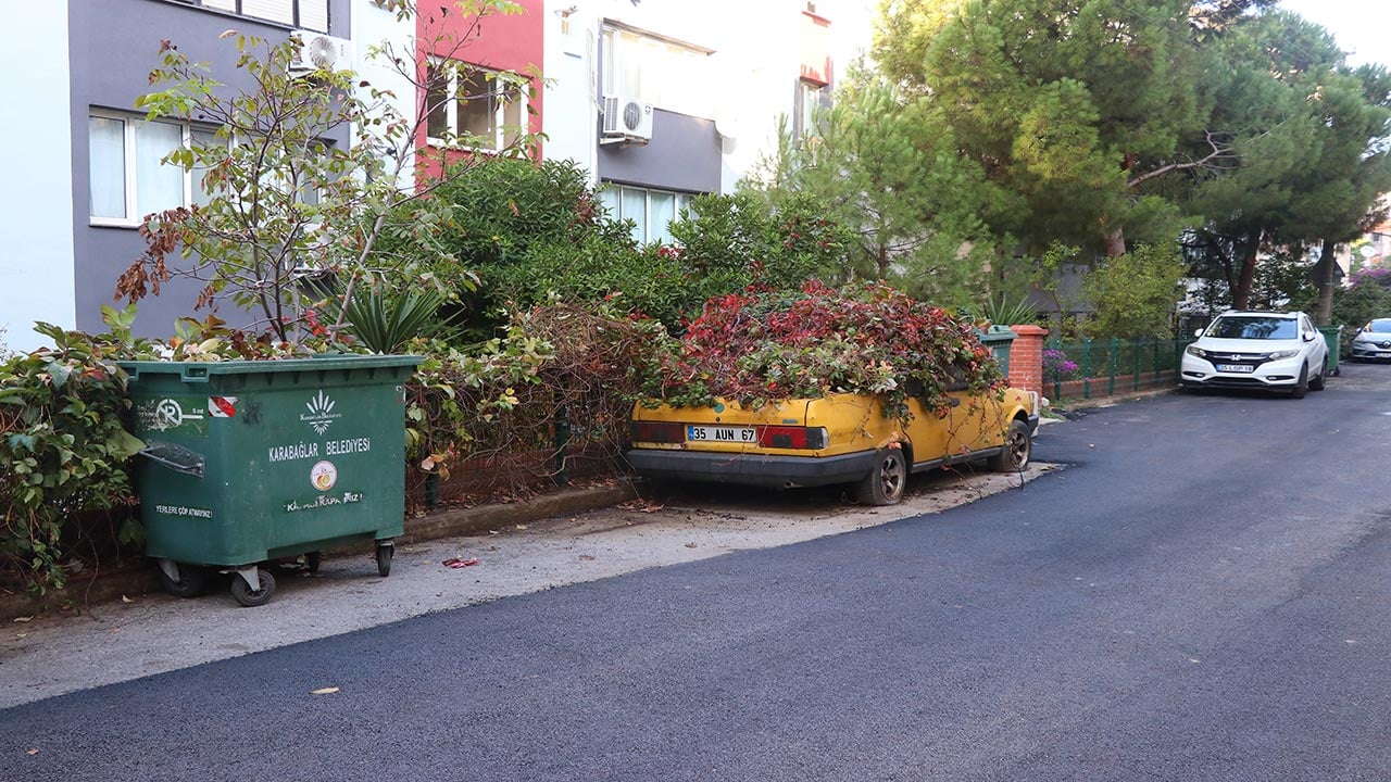 Sarmaşıklar otomobili tamamen yuttu! İzmir’de 8 yıldır park halindeki aracı görenler şaştı kaldı