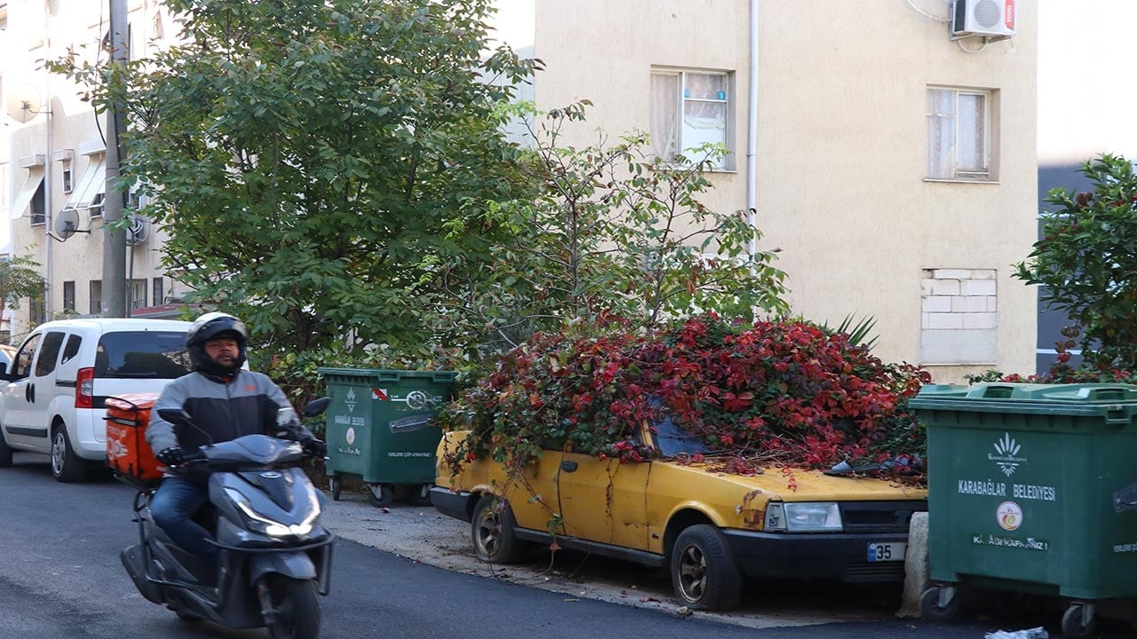 Foto - Sarmaşıklar otomobili tamamen yuttu! İzmir’de 8 yıldır park halindeki aracı görenler şaştı kaldı