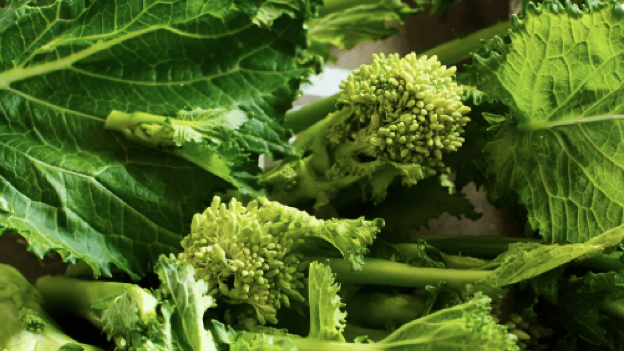 Foto - Şaşırtan ayrıntılar... Brokoliden 5 kat faydalı: Demir deposu yeşil süper güç sofrada