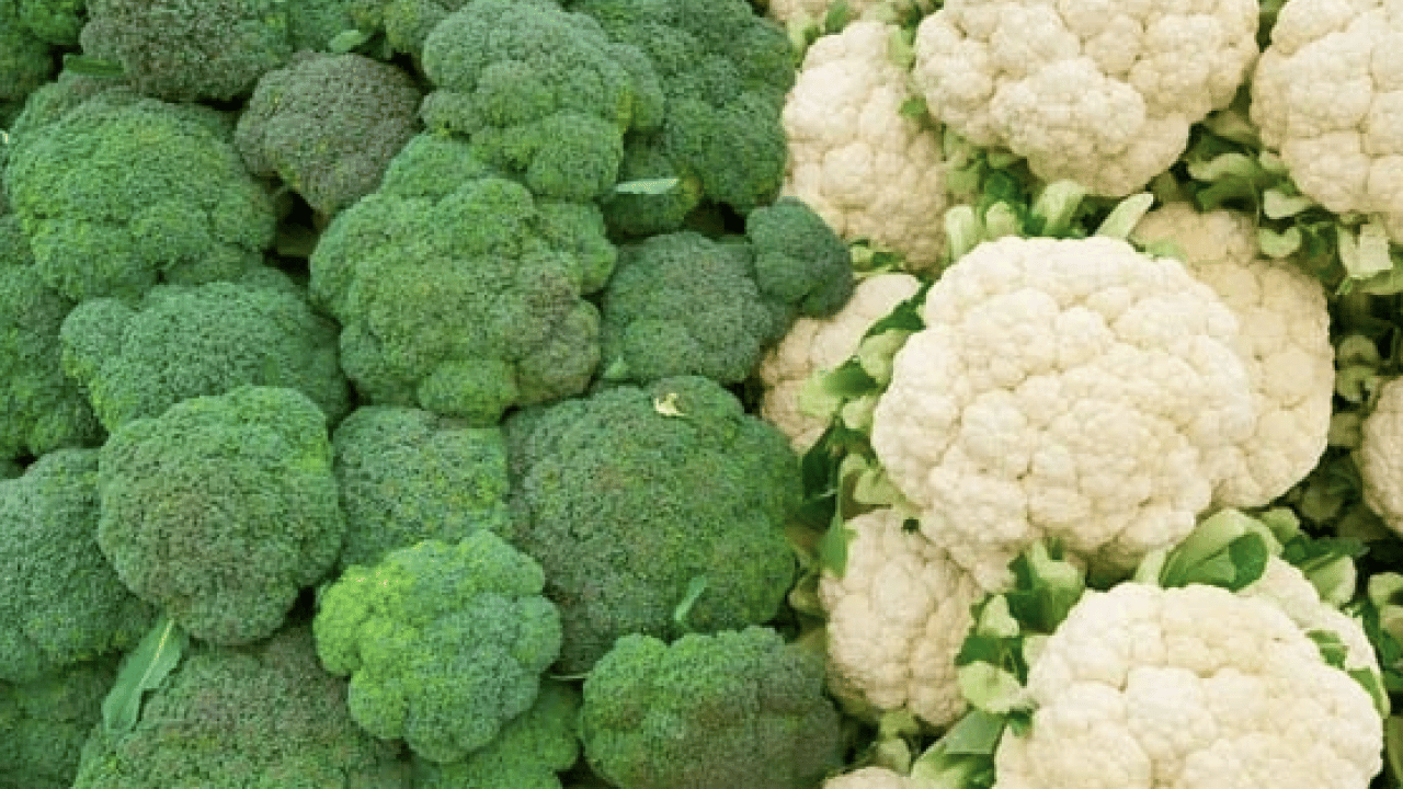 Foto - Şaşırtan ayrıntılar... Brokoliden 5 kat faydalı: Demir deposu yeşil süper güç sofrada