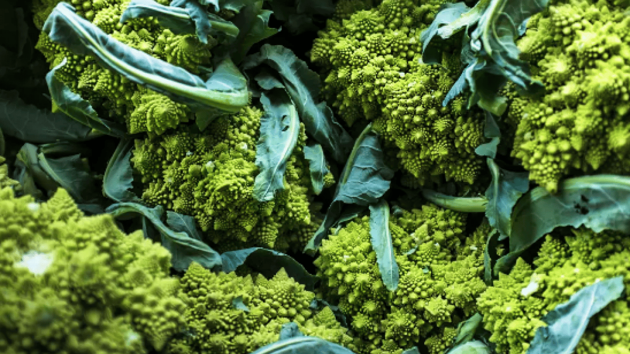 Foto - Şaşırtan ayrıntılar... Brokoliden 5 kat faydalı: Demir deposu yeşil süper güç sofrada