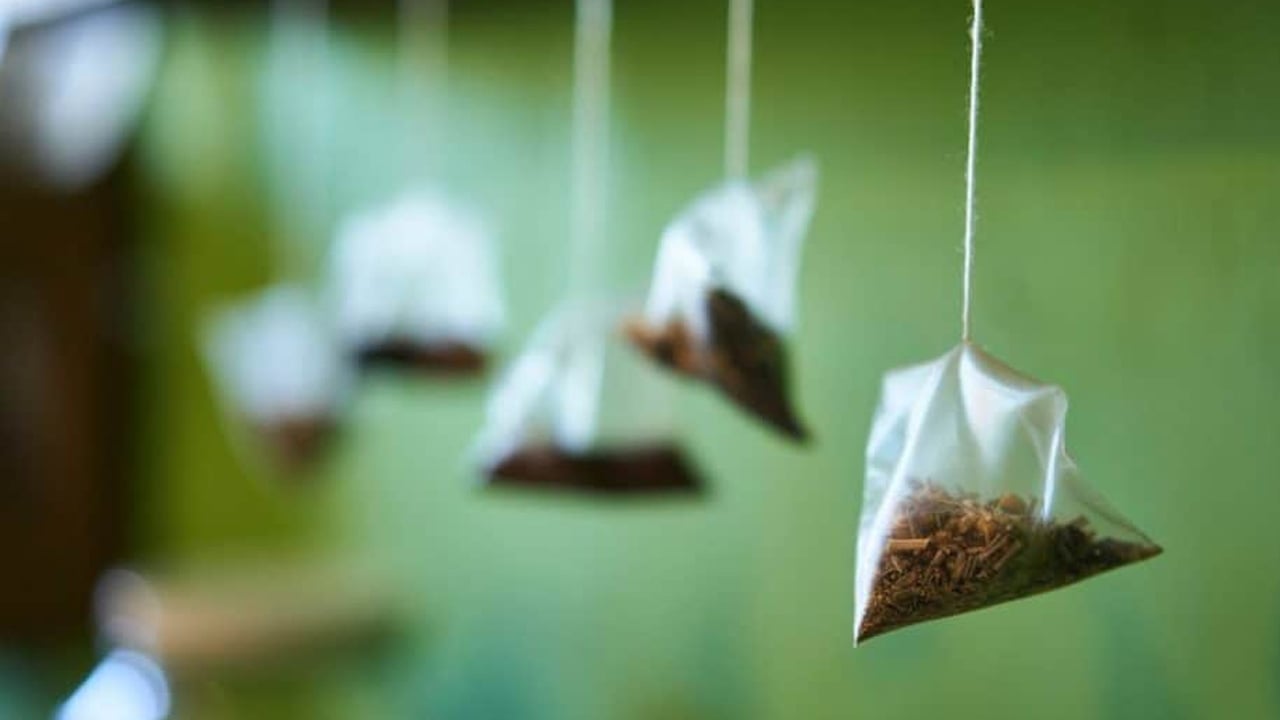 Foto - Şaşırttı: Kullanılmış poşet çayı sakın çöpe atmayın! Bakın ne işe yarıyormuş…