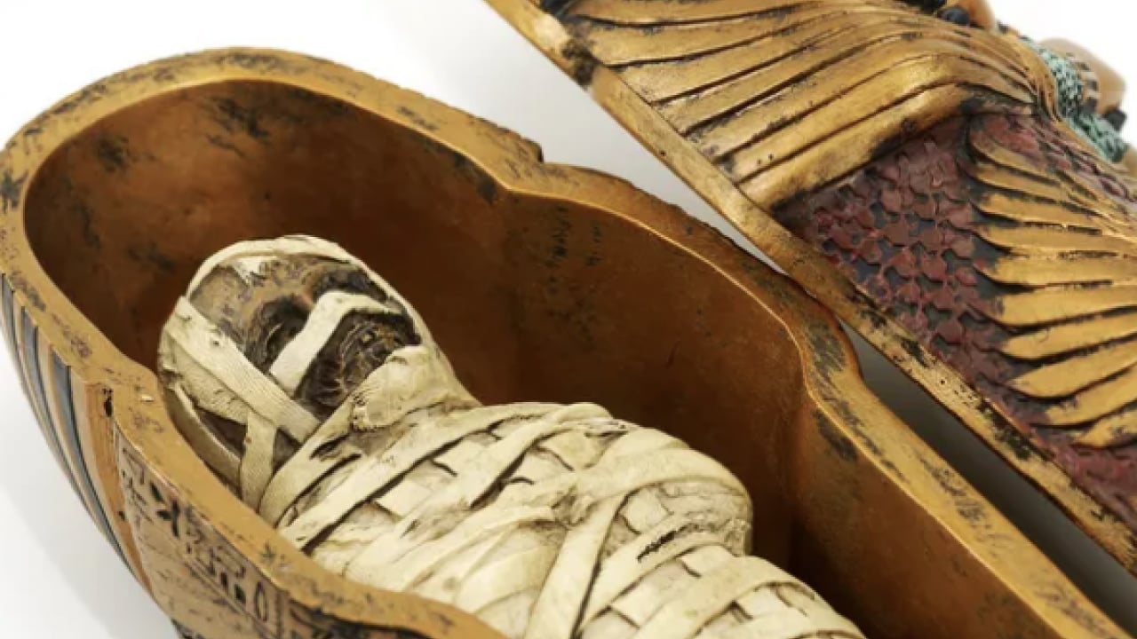 Foto - Şaşkına çevirdi: Antik Mısır mumyasının içinden bakın ne çıktı: 2000 yıllık sır çözüldü!