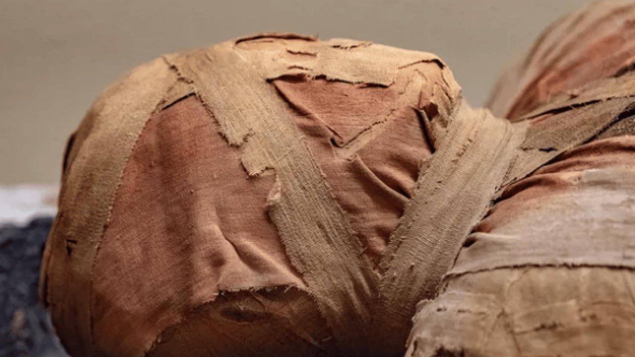 Foto - Şaşkına çevirdi: Antik Mısır mumyasının içinden bakın ne çıktı: 2000 yıllık sır çözüldü!