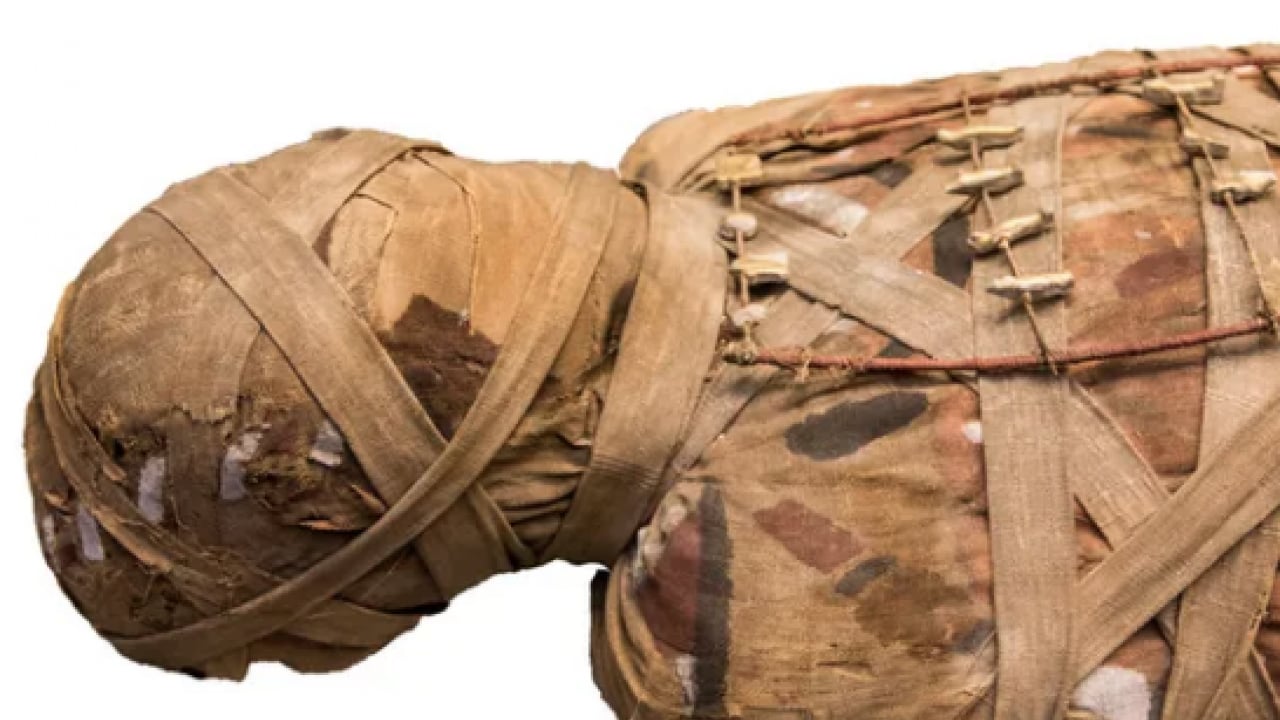 Foto - Şaşkına çevirdi: Antik Mısır mumyasının içinden bakın ne çıktı: 2000 yıllık sır çözüldü!