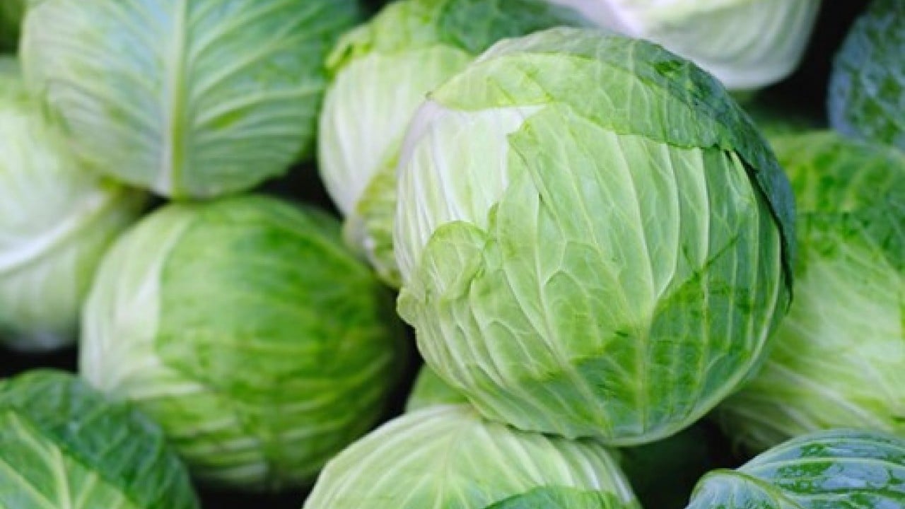 Satışına ilgi büyük! Hasadı bitti artık tezgahta