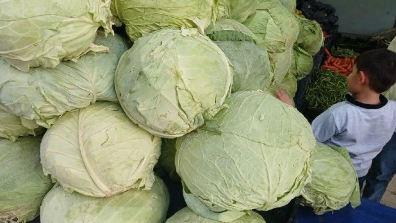 Foto - Satışına ilgi büyük! Hasadı bitti artık tezgahta