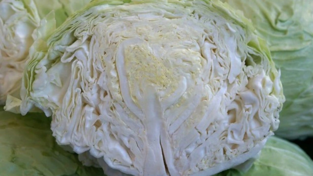 Foto - Satışına ilgi büyük! Hasadı bitti artık tezgahta