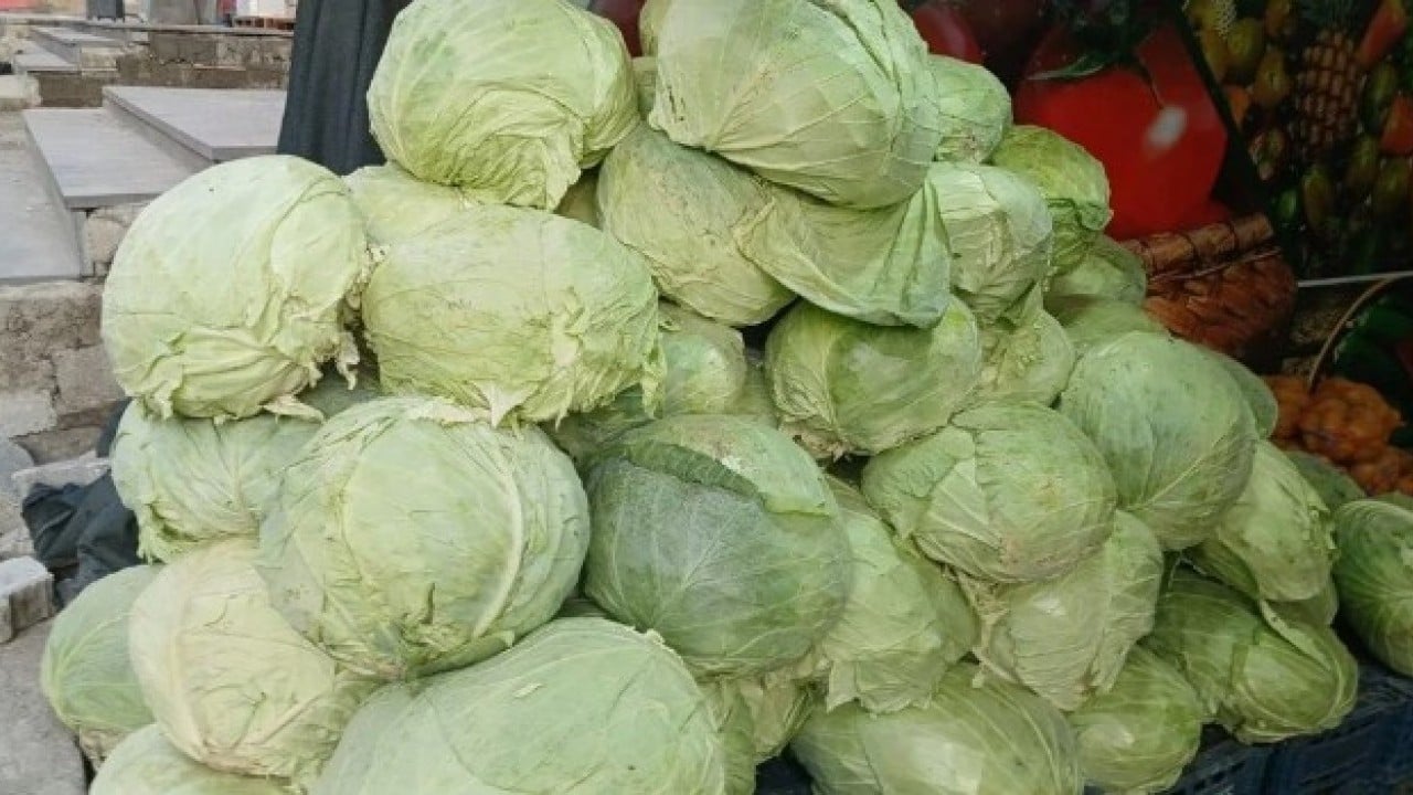 Foto - Satışına ilgi büyük! Hasadı bitti artık tezgahta