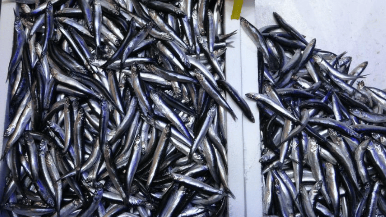 Foto - Savaş halindeki ülke ihracatta lider oldu