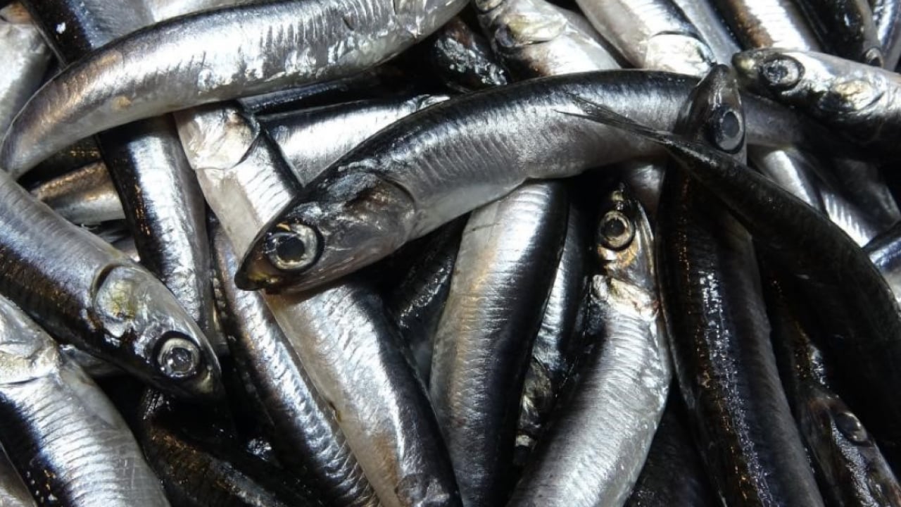 Foto - Savaş halindeki ülke ihracatta lider oldu