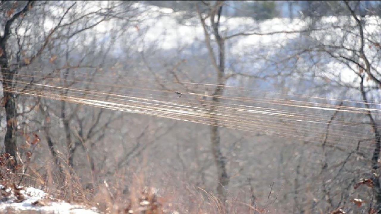 Foto - Savaşın Yeni Yüzü: Ukrayna’nın Cephe Kentinde Fiber Optik Örümcek Ağı