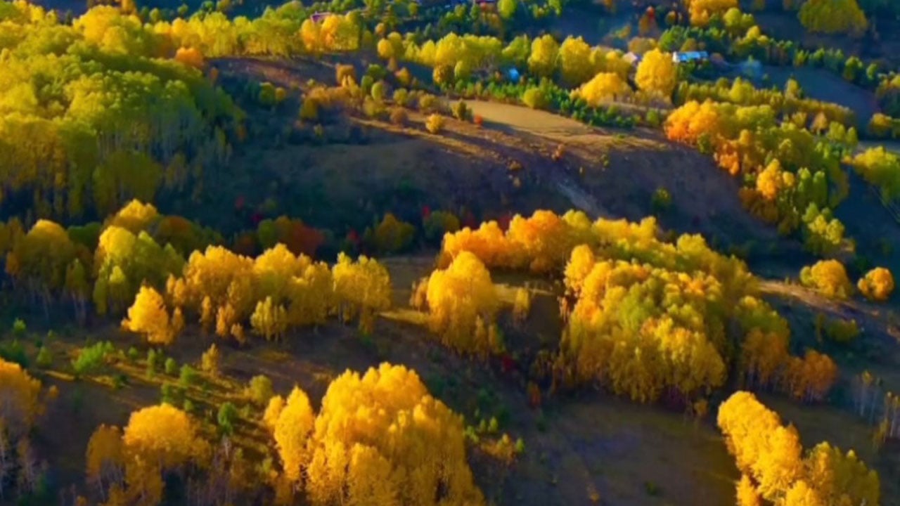 Foto - Şavşat renk cümbüşüne büründü! Sonbaharın en güzel yüzü