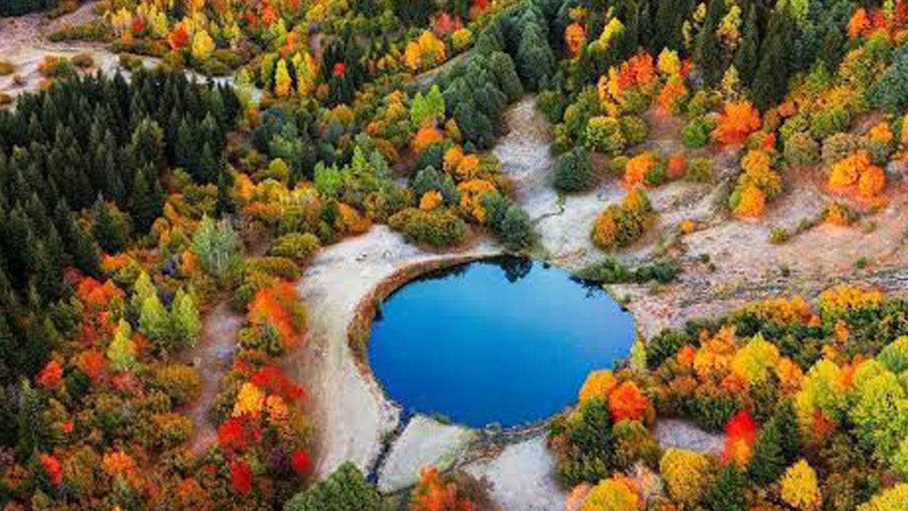 Şavşat renk cümbüşüne büründü! Sonbaharın en güzel yüzü