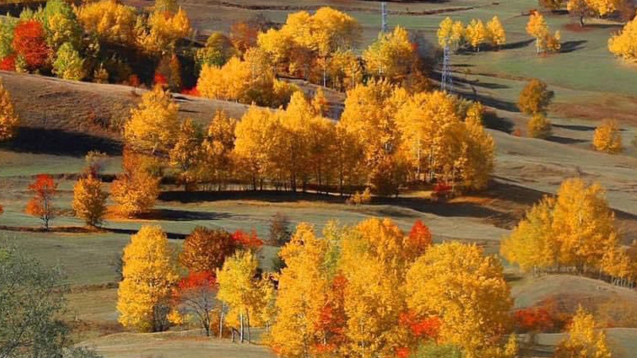 Foto - Şavşat renk cümbüşüne büründü! Sonbaharın en güzel yüzü