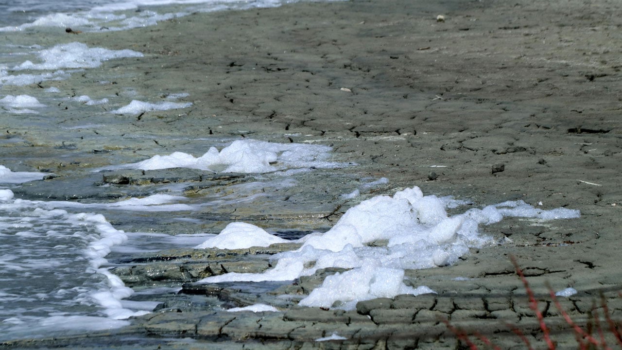 Foto - Sebebi merak ediliyor! Burdur Gölü kıyısında dikkat çeken görüntü