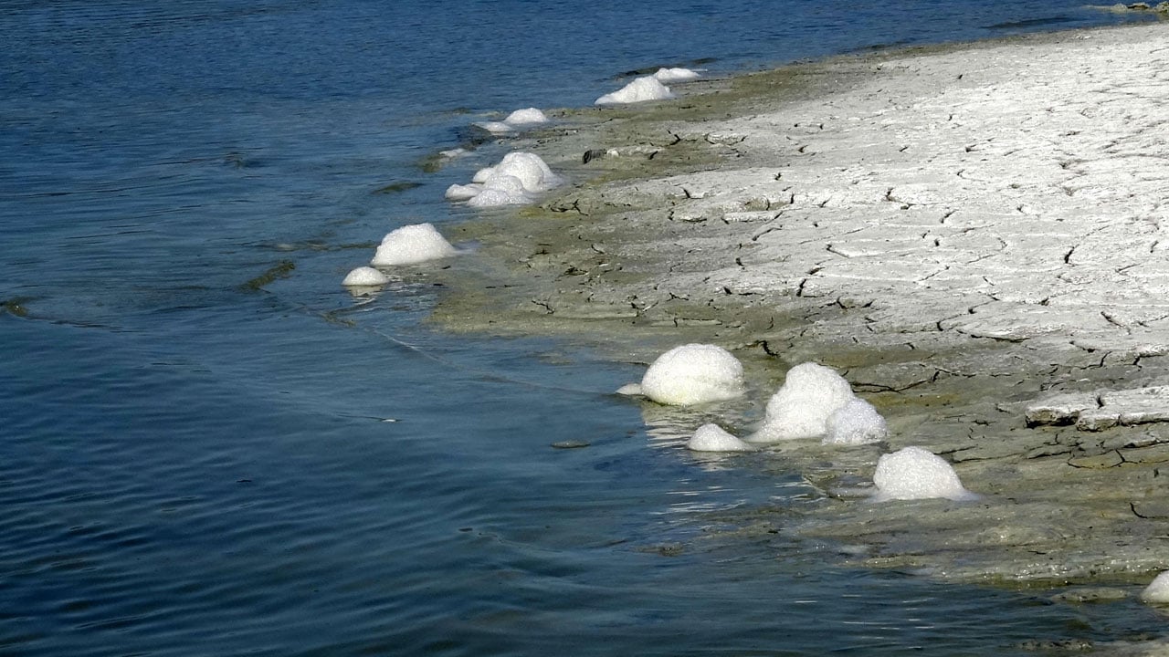 Foto - Sebebi merak ediliyor! Burdur Gölü kıyısında dikkat çeken görüntü