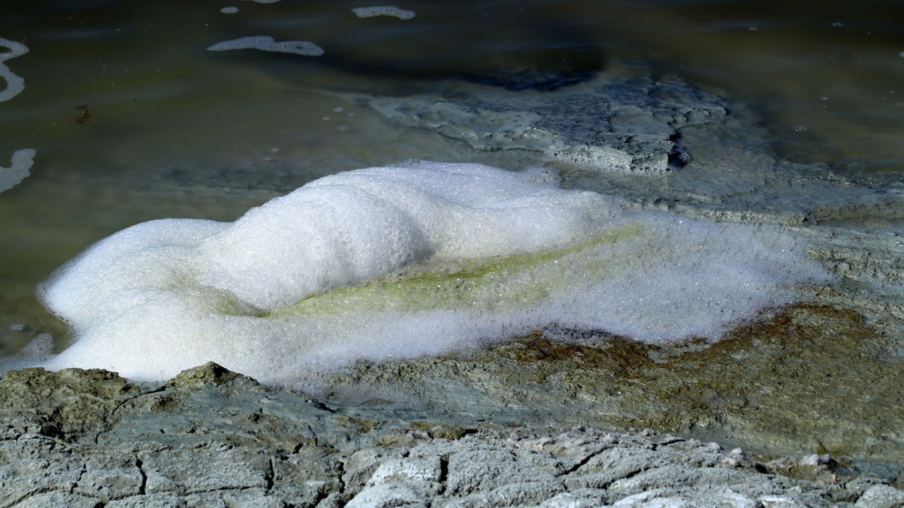 Foto - Sebebi merak ediliyor! Burdur Gölü kıyısında dikkat çeken görüntü