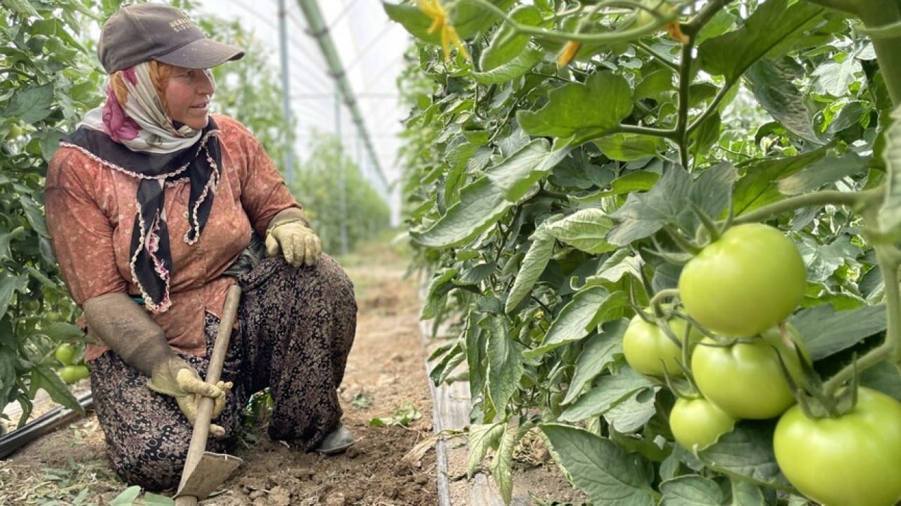 Foto - Sebze-meyve üretiminde Türkiye'nin lideri belli oldu