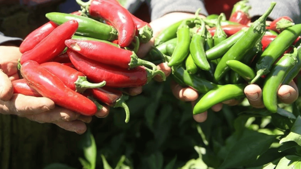 Foto - Sebze ve meyvelerde büyük tehlike! Sağlığımız risk altında