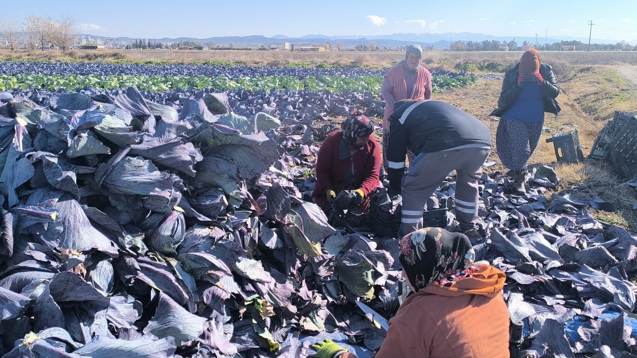 Foto - Sedat Peker harekete geçti! Beklenmedik hamle geldi