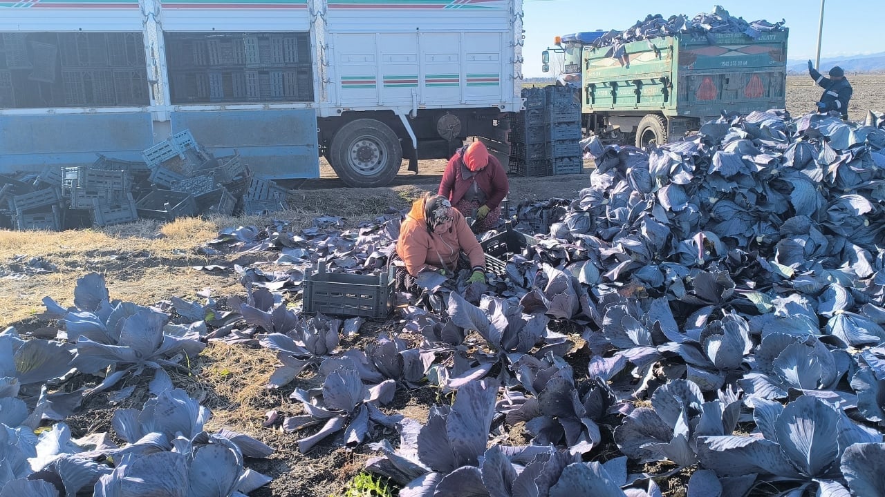 Foto - Sedat Peker harekete geçti! Beklenmedik hamle geldi