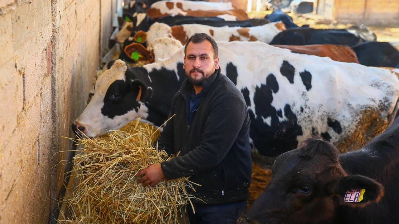 Foto - Şehir hayatını bırakıp köyüne döndü! 4 inekle başladı, kendi çiftliğini kurdu