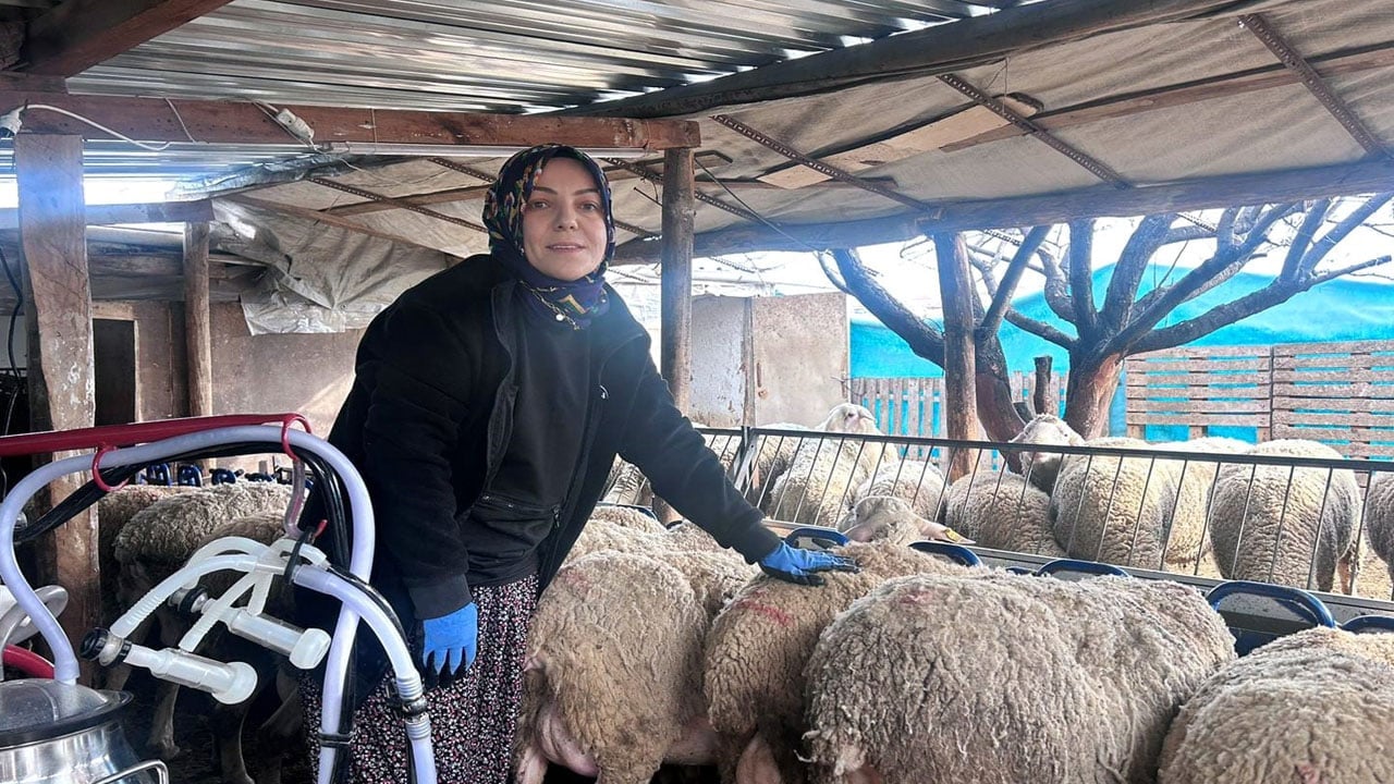 Foto - Şehir hayatını bıraktı, çiftlik kurdu! Tek hedefi önyargıları yıkmak