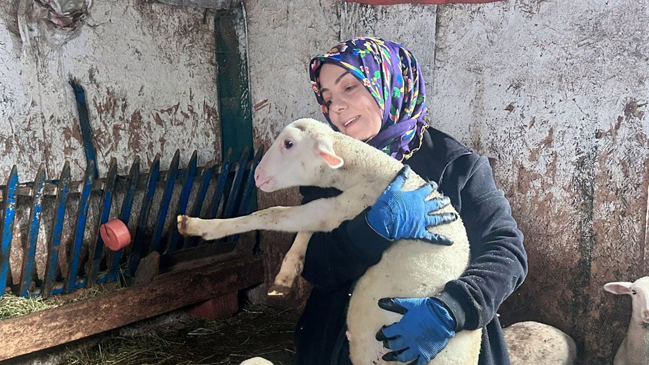 Foto - Şehir hayatını bıraktı, çiftlik kurdu! Tek hedefi önyargıları yıkmak