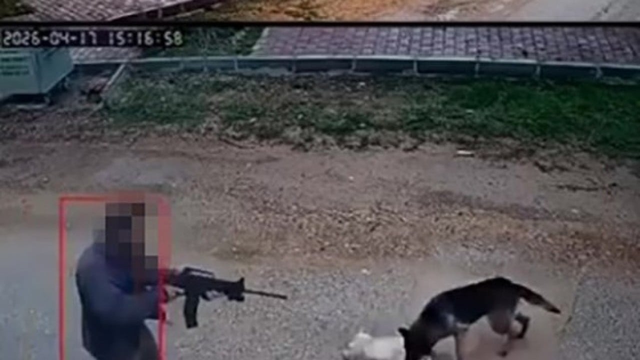 Foto - Şehir kovboyu kavga eden sokak köpeğini öldürdü