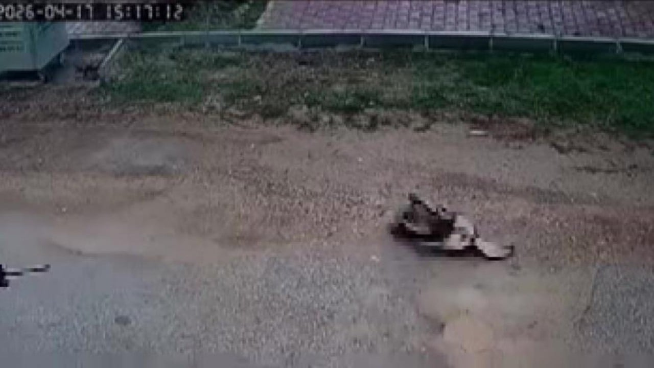 Foto - Şehir kovboyu kavga eden sokak köpeğini öldürdü